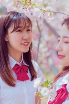 野花社区日本韩国
